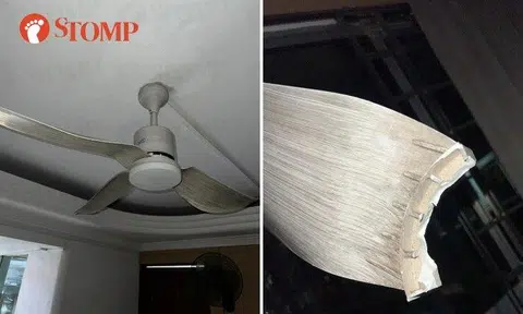"This blade from the Elmark fan suddenly broke off and came flying down, just slightly missing my father's head," recounted the Stomper.
