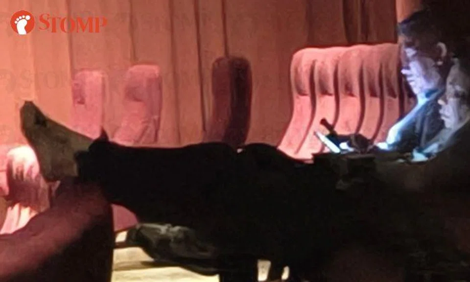 'Disgusting and disgraceful' of well-dressed man to prop feet on seat at Golden Village VivoCity