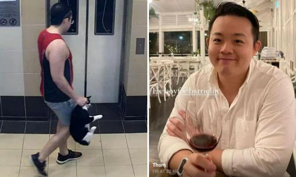 Ang Mo Kio cat killer felt 'excitement, thrill and guilt' while abusing cats and relief after