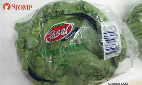 Pasar and Iceberg lettuce sold at FairPrice and Sheng Siong recalled after high pesticide levels found
