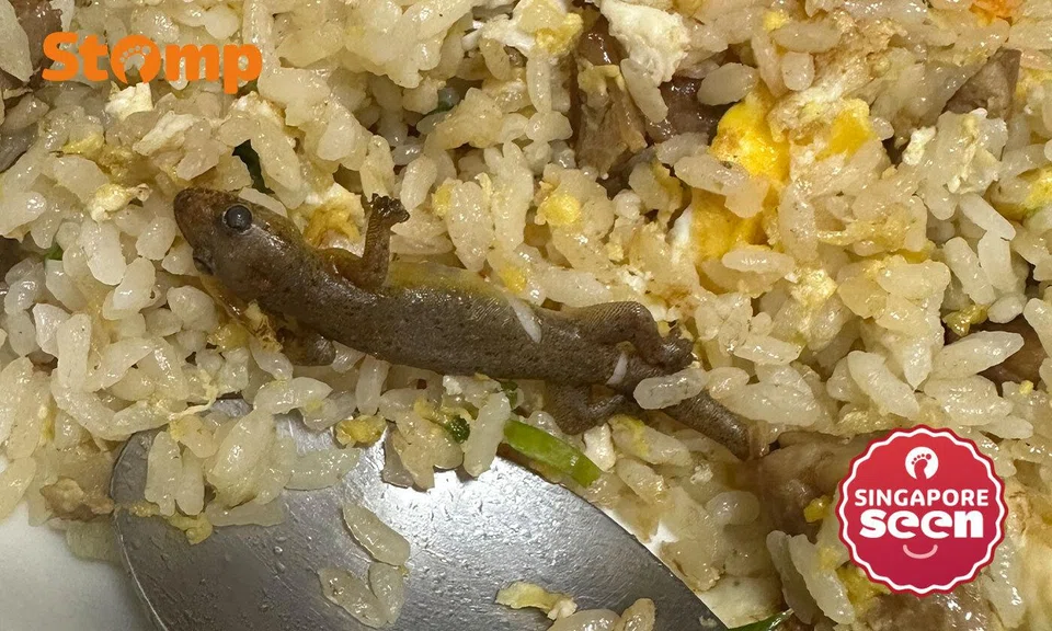 lizard in wok hey fried rice