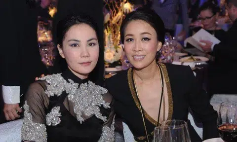 Na Ying posts support for Faye Wong, only to get scolded by netizens