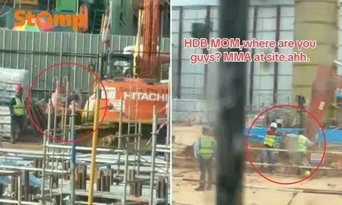 The alleged fights took place on Feb 26 at two locations in Singapore.