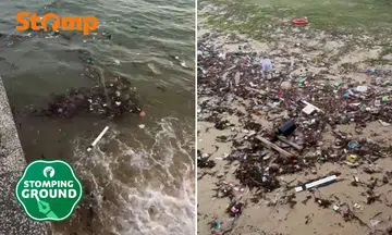 Litter along East Coast Park shoreline breaks Stomper’s heart