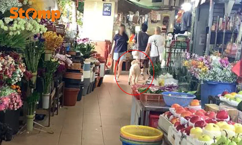 Pet dog seen at Tampines hawker centre despite ‘no pets allowed’ sign