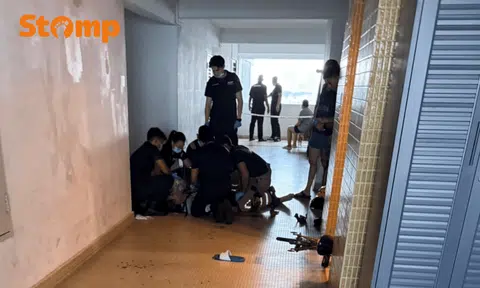 laguna park stabbing