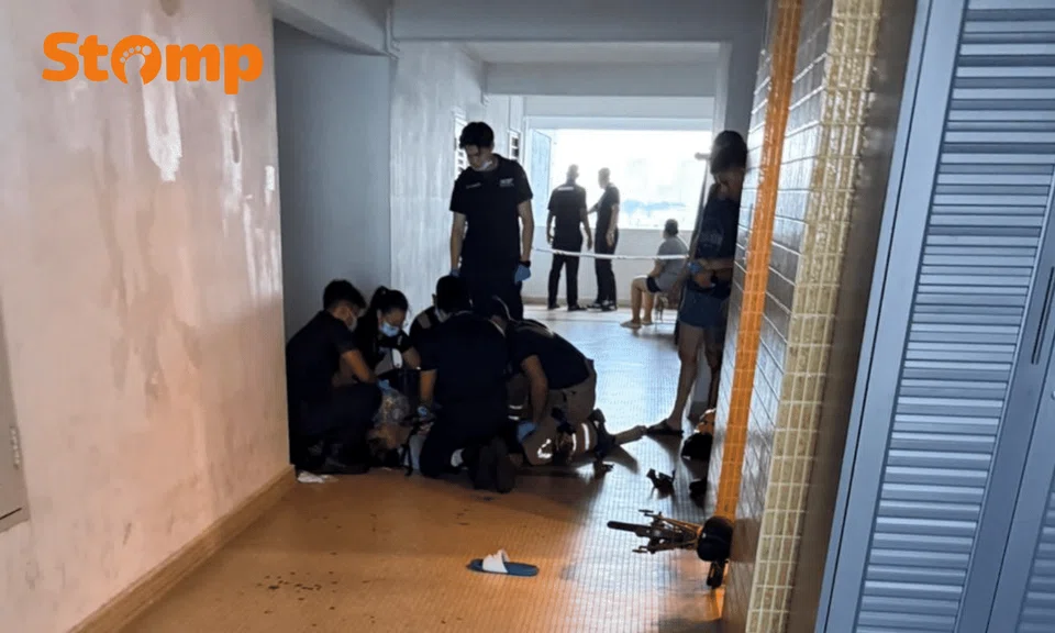 laguna park stabbing