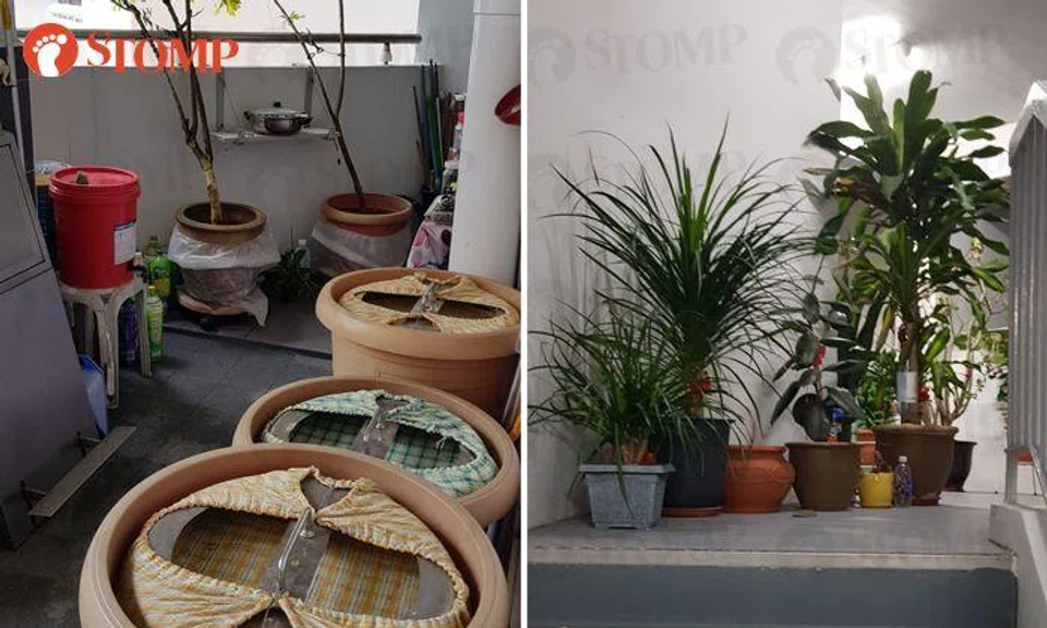 Resident given deadline to clear clutter from common spaces of Senja Road HDB block