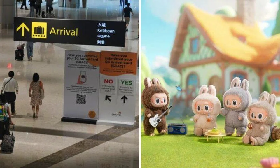 Woman fined $5k for failing to declare items such as branded bags, Labubu after flying back from UK