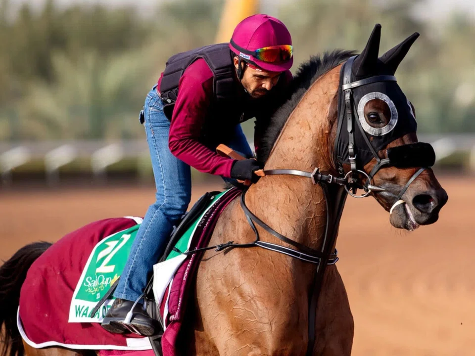 Dubai representative Walk Of Stars stretching out on the King Abdulaziz Racecourse in Riyadh on Feb 20. He is prepared by reigning Dubai champion trainer Bhupat Seemar and will be ridden by Tadhg O'Shea in the Group 1 Saudi Cup (1,800m) at King...