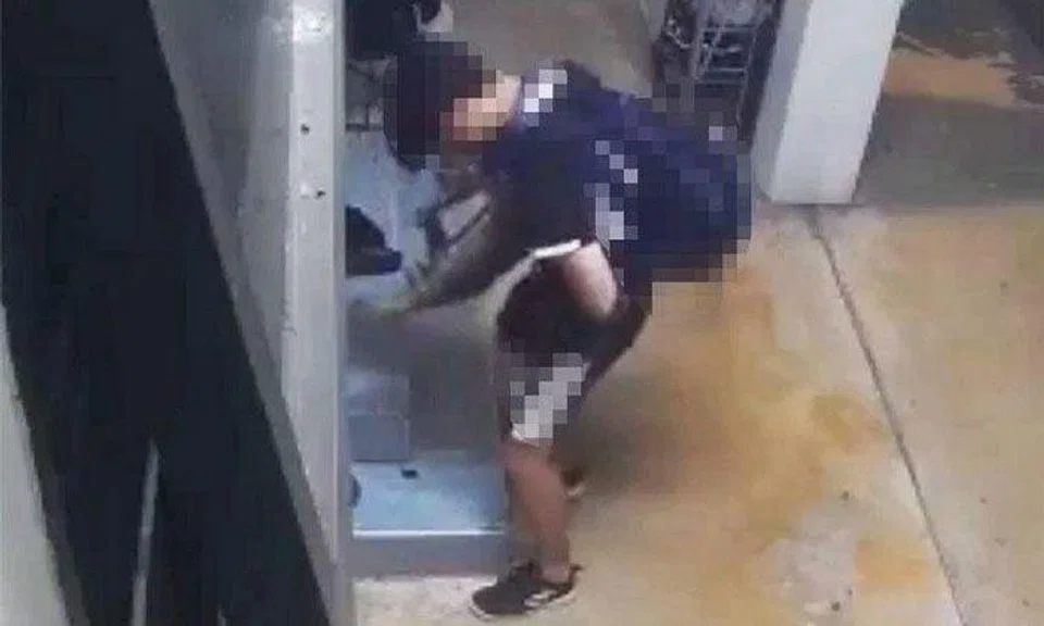 Youth caught on CCTV humping cat in Bukit Panjang, owner makes police report