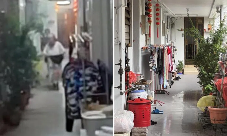 Woman waves her underwear at neighbours and curses at them, blocks corridor with plants