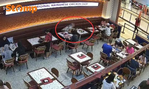 Woman appeals for witnesses after elderly man caught on CCTV allegedly stealing wallet with $2.9k in Johor Bahru