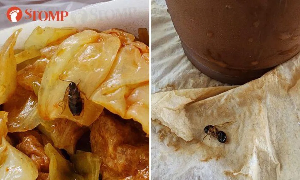 Woman finds insects in rice and drink from two Chang Cheng coffee shop stalls, SFA investigating