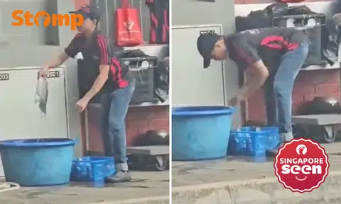 Disgusted diner sees restaurant worker washing fish near rubbish chute in Changi Village, SFA investigating