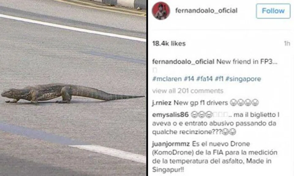 F1 driver startled by large monitor lizard on race track in S'pore
