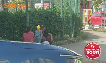 Stomper Ryan witnessed this at 10.15am on March 23.