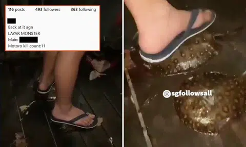 Boy squishes stingrays with his feet, says he has 'kill count' of 11