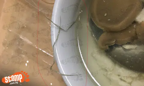 Cancer patient finds mysterious "string" in food but kitchen insists it is food and throws it away