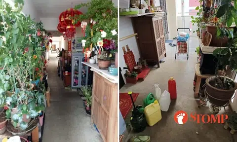 After town council gets Serangoon North resident to clear clutter from corridor, new items emerge