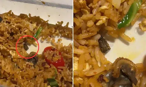 cockroach found in food from kampung admiralty eatery