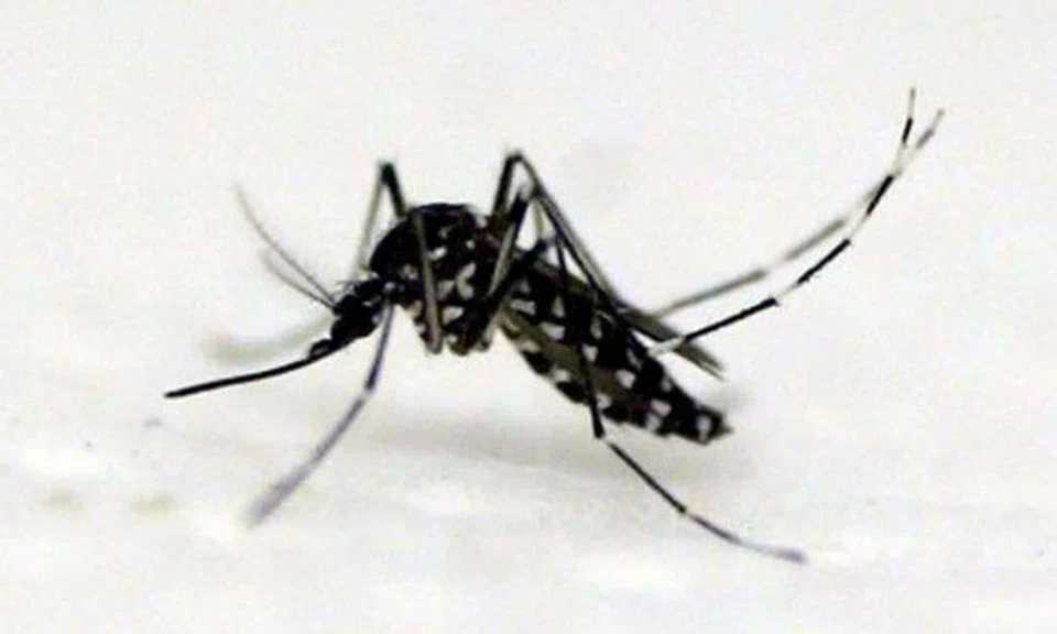 72-year-old woman who lived at Simei Street 1 dies from dengue