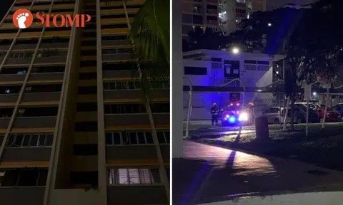 Clementi blackout: EMSU rescues 2 people trapped in lift, Stomper gets stuck at playground