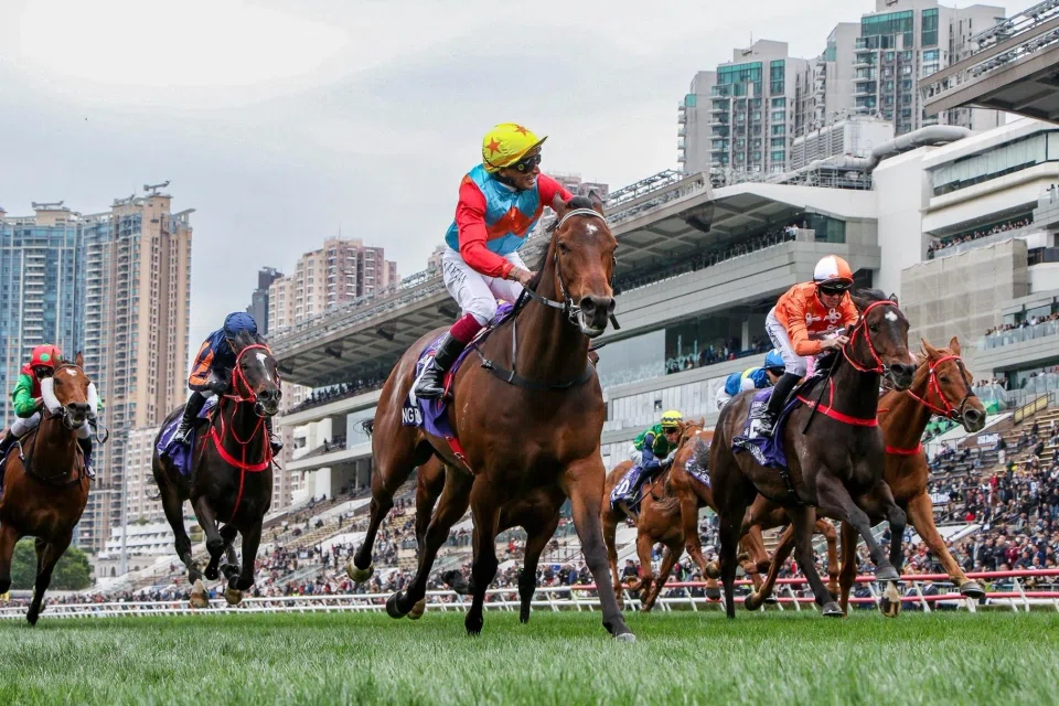 Ka Ying Rising (Karis Teetan) scoring at his first 1,400m test in the Group 1 Queen's Silver Jubilee Cup at Sha Tin on Feb 23. Regular partner Zac Purton was injured then, but Hong Kong's rising sprint star reunites with the champion jockey in the Group 2 Sprint Cup (1,200m) at Sha Tin on March 30.