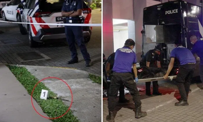 Man found dead at foot of Woodlands block after allegedly hurting ...
