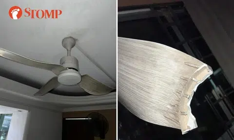 Ceiling fan blade breaks and flies off in middle of dinner, nearly hits head of Stomper's girlfriend's dad