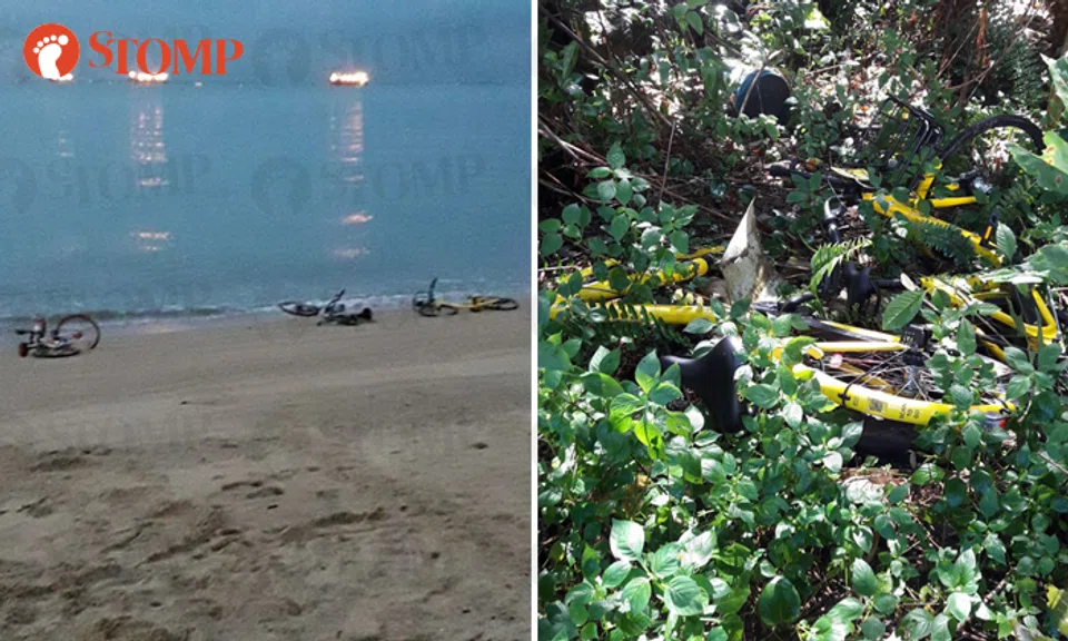 Shared bicycles found on a beach (left) while ofo bicycles were found in a forest near Yishun Avenue 1. (right)