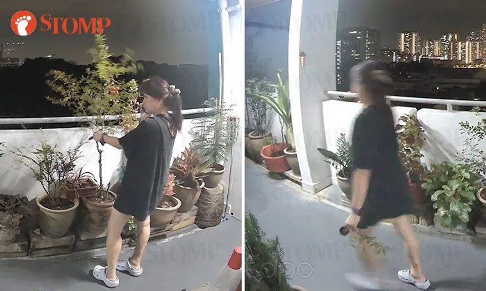 Stomper makes police report after woman plucks his pomegranate plant