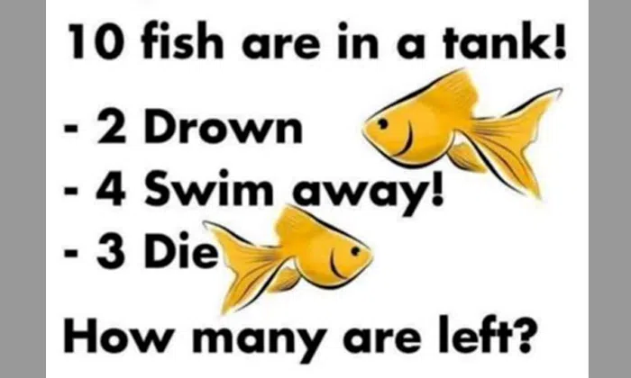 Drowning Riddle Can you solve this tricky riddle that most people got wrong? | STOMP