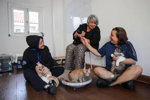 (From left) Cat feeders Yurhaini Hashim, Shereen Adwaney and Mindy Cheong at a fund-raising event on May 25.