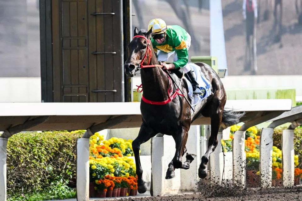 The Frankie Lor-trained Bottomuptogether (Zac Purton) dashing clear to score in the Class 2 Kowloon Bay Handicap (1,200m) at Sha Tin on April 20.