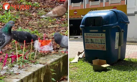 Recycling bin melts after burning of offerings, town council says residents should 'follow guidelines'