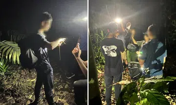 The National Parks Board is investigating how a snake was handled on the Mandai Trail.