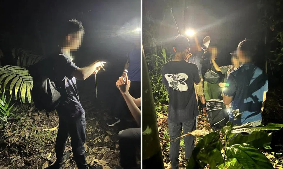The National Parks Board is investigating how a snake was handled on the Mandai Trail.