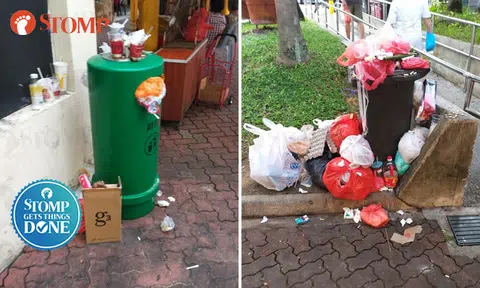 Town council to place extra bins and increase frequency of clearing them after Bukit Batok resident's feedback