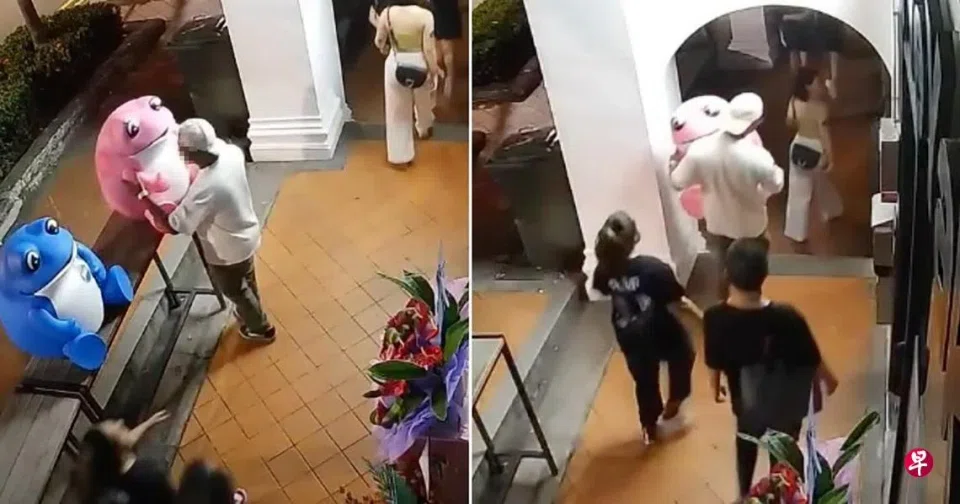 CCTV footage timestamped at 1.11am showed a man in a white hat taking the pink frog decoration away.