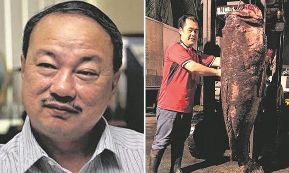 photo: Lianhe Wanbao. Sheng Siong managing director Mr Lin Youlong (on the left) and the grouper (On the right)