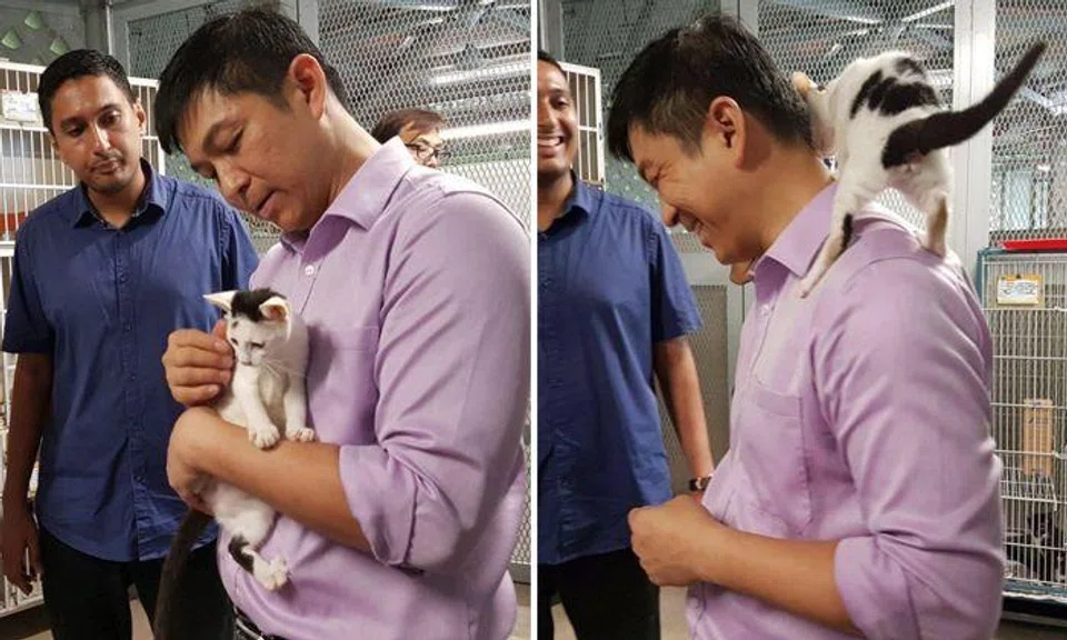 Minister Tan Chuan-Jin visits SPCA for inaugural camp, but this cat steals the show