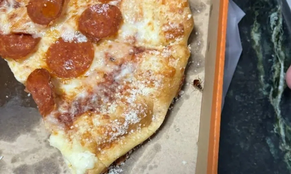 Using the moniker pinkcaramelpudding, the diner said: “My family and I were having our dinner and in the middle of the meal, a baby cockroach crawled out from under our pizza, and we completely lost our appetite.”