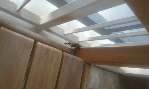 Do you know what this creature Stomper spotted at the lift lobby is?