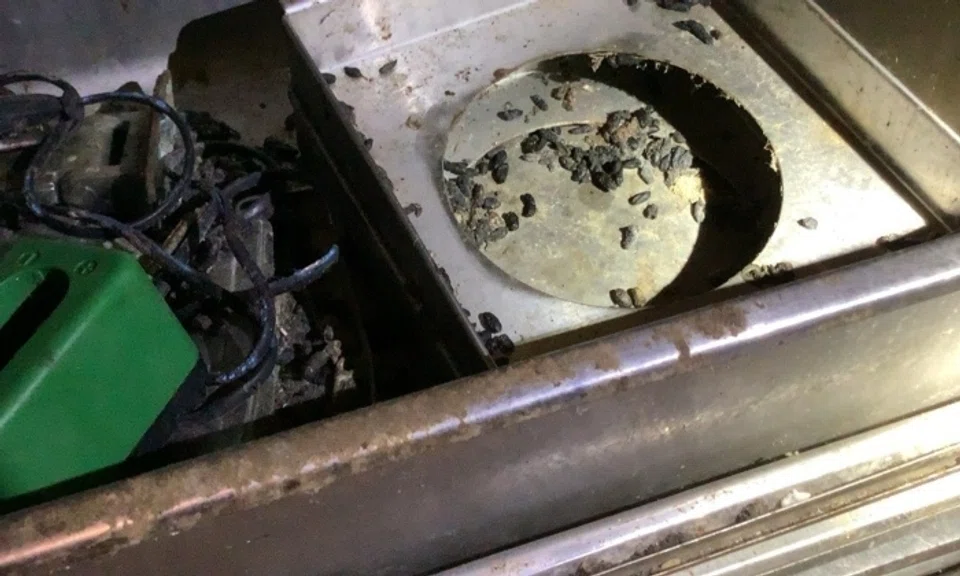 SFA officers inspected Ever Dragon Foodstuff on June 15 last year and observed severe pest infestation in the form of live and dead cockroaches, rodent activity and decomposed rodents.