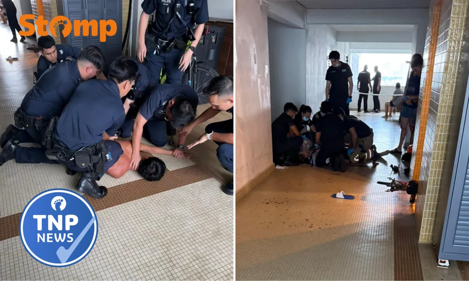 The incident occurred on the 13th floor of Block 5000c at Laguna Park condominium. 