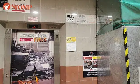 Town council responds to Pasir Ris resident's worries on lift upgrading works affecting wheelchair users