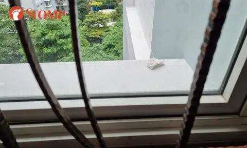 'Someone threw a used panty liner and it landed outside my window': Sengkang resident