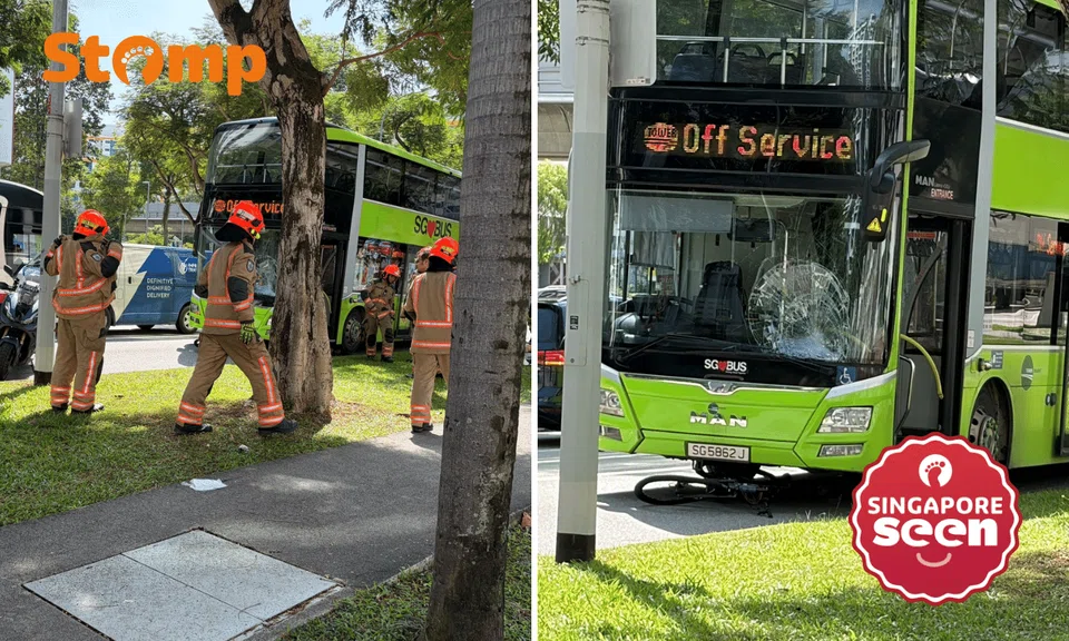 cyclist dead, bus gets into accident
