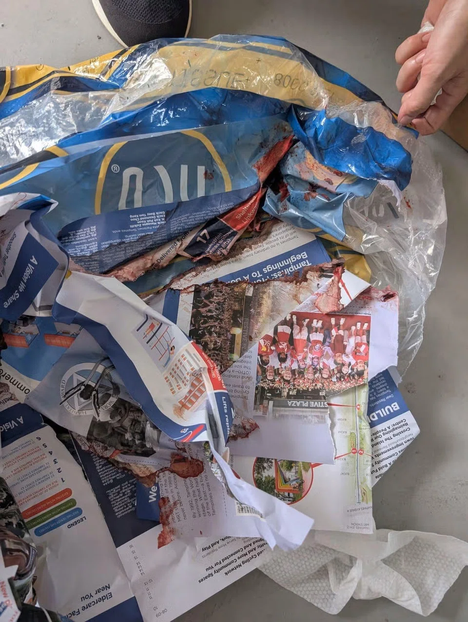 cat was found wrapped in plastic packaging